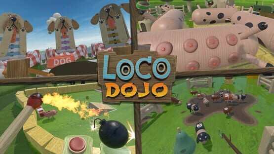 Screenshot Loco Dojo