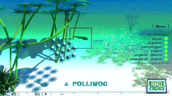Screenshot Markerboard Jungle: Frogs