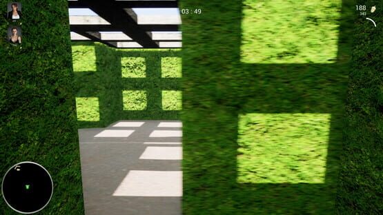 Screenshot Maze Nuts