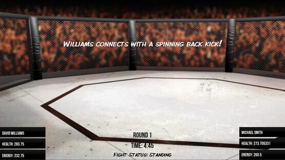Screenshot MMA Simulator