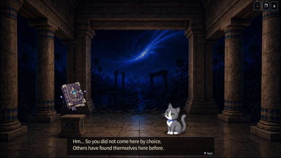 Screenshot Nyancrement