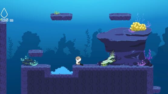 Screenshot Ocean Otter Climb