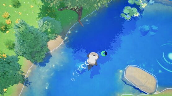 Screenshot Ocean Otter Swim