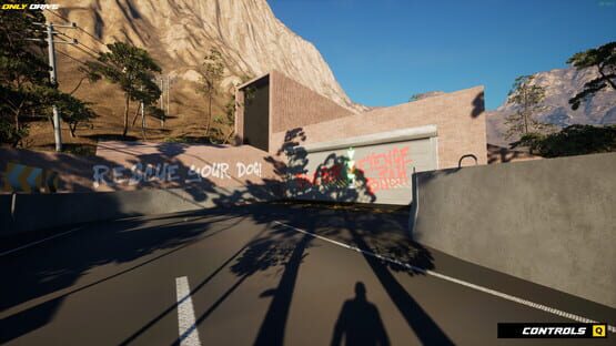 Screenshot Only Drive