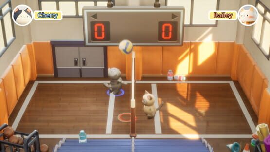 Screenshot PawlleyBall