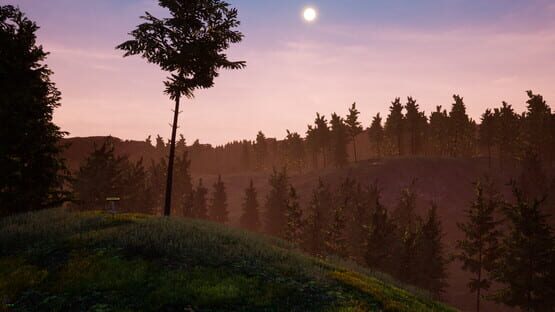 Screenshot Perfect Round Disc Golf