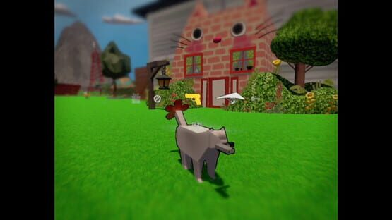 Screenshot Pistol Cat