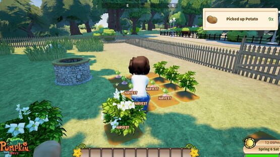 Screenshot Pumpkin Days