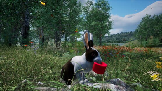 Screenshot Rabbit Meadow
