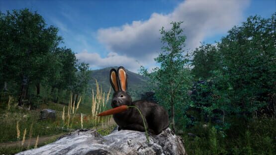 Screenshot Rabbit Meadow