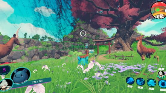 Screenshot Rivandy