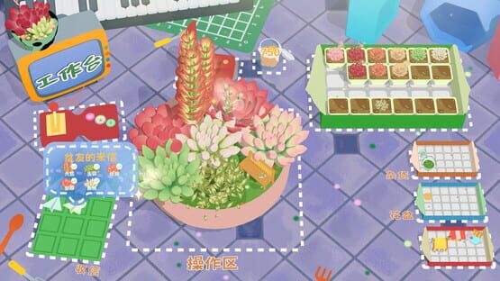 Screenshot Succulent Studio