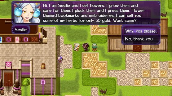 Screenshot The Black Knight Chronicles: The Widow without Time