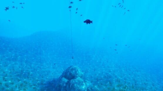 Screenshot The Fishing Club 3D