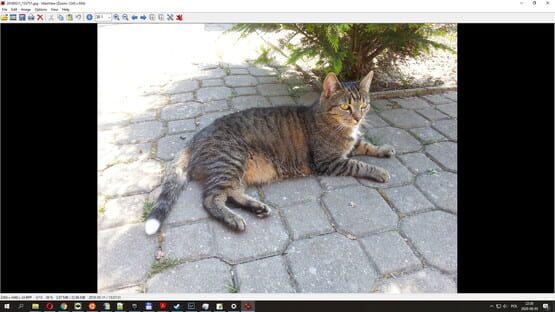 Screenshot The USB Stick Found in the Grass