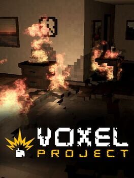 Cover Voxel Project
