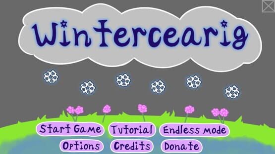 Screenshot Wintercearig