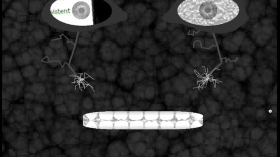 Screenshot Within