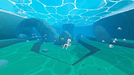 Screenshot Nytro