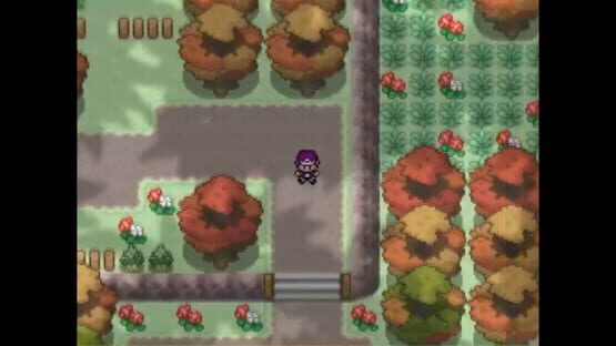 Screenshot Pokemon Alchemist