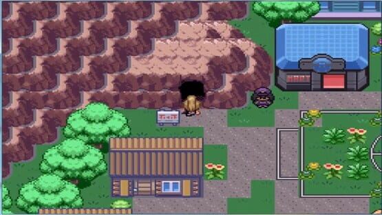 Screenshot Pokémon Desolation