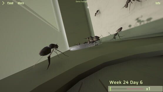 Screenshot Ant Keeping Simulator