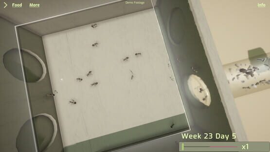 Screenshot Ant Keeping Simulator