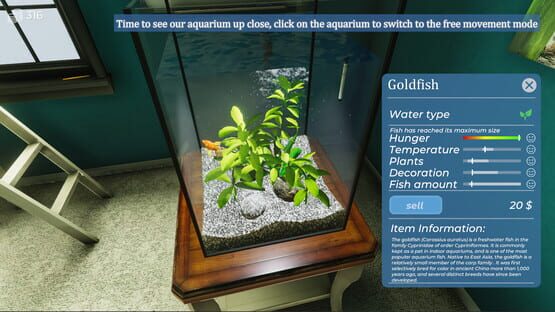 Screenshot Aquarist: My First Job