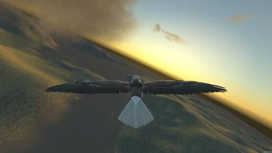 Screenshot Aquila Bird Flight Simulator