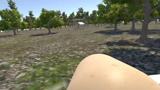 Screenshot Chicken VR