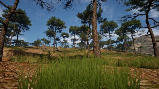 Screenshot Grass Life Sim 2