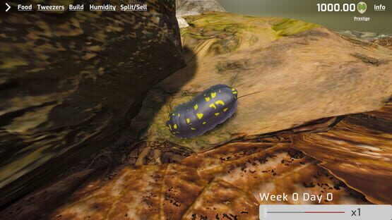 Screenshot Isopod Keeping Simulator