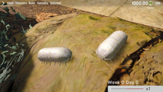 Screenshot Isopod Keeping Simulator