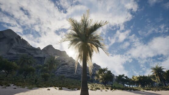 Screenshot Palm Simulator 2