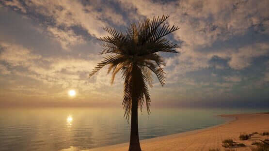 Screenshot Palm Simulator 2