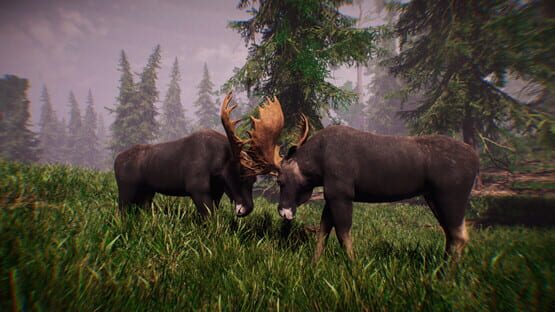 Screenshot Primitive Hunter