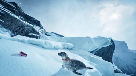 Screenshot Wildlife Rescue Simulator