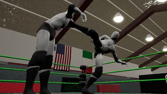 Screenshot Mark Out! The Wrestling Card Game