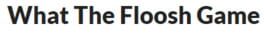 Cover What The Floosh Game