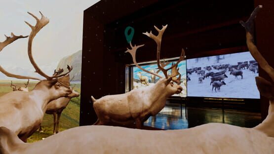 Screenshot Beyond the Diorama: Caribou World