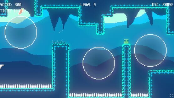 Screenshot Carrot Catcher