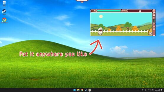 Screenshot Fidget Widget