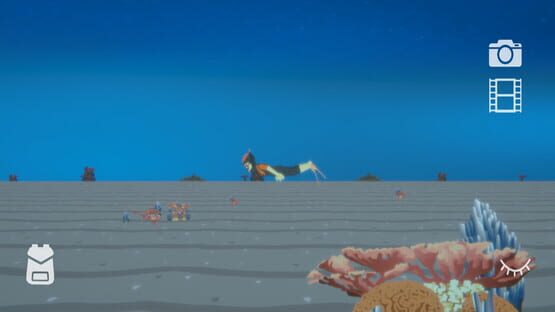 Screenshot Find the Whales: Español