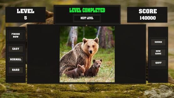 Screenshot Fitzzle Mighty Bears