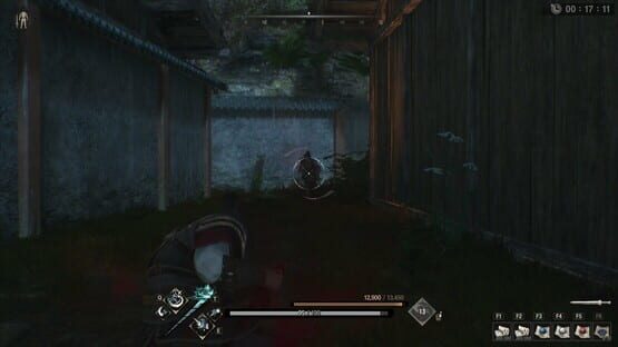 Screenshot Hunter's Arena: Revolution