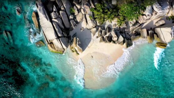 Screenshot Island of Hope