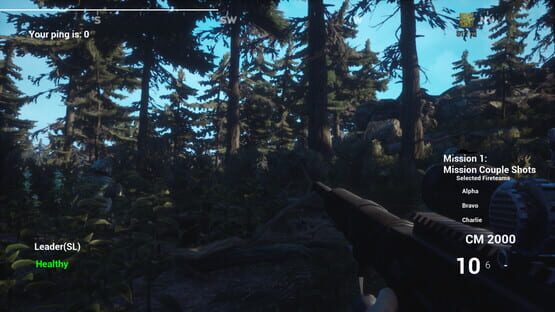 Screenshot Liberation Special Forces