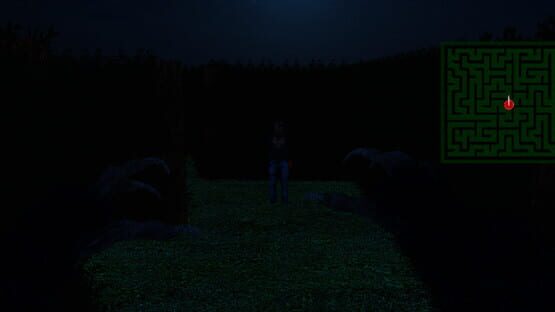 Screenshot Nightmare Labyrinth