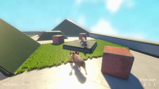 Screenshot Pig King
