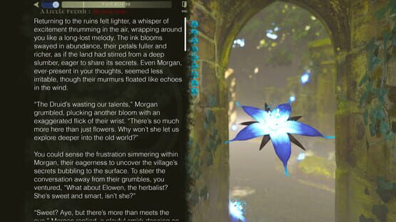 Screenshot Túatha Echoes: The Village